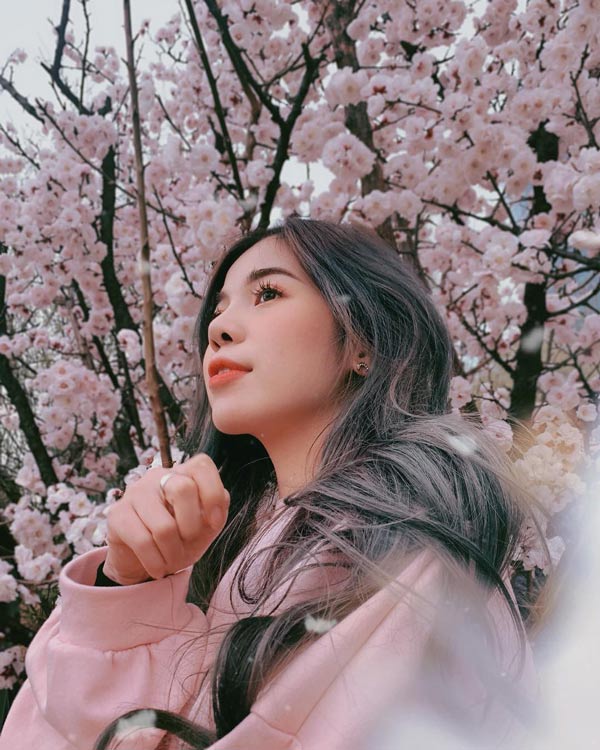 Không Nhật Bản thì Hàn Quốc, cảm giác như cả thế giới đều đi ngắm hoa anh đào hết rồi!
