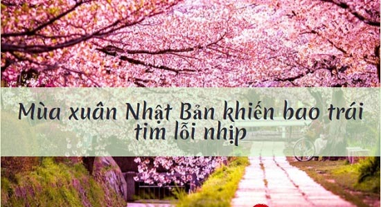 Nhiệt độ ở Nhật Bản quanh năm ra sao?