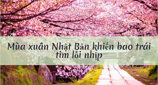 Nhiệt độ ở Nhật Bản quanh năm ra sao?