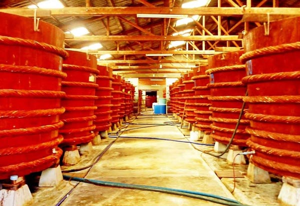 TOP CÁC ĐỊA ĐIỂM DU LỊCH PHÚ QUỐC NÊN ĐẾN TRONG ĐỜI