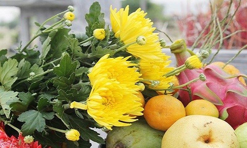Đi Thanh Minh cần chuẩn bị những gì?