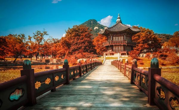 5 lý do bạn nên đi du lịch Hàn Quốc mùa thu