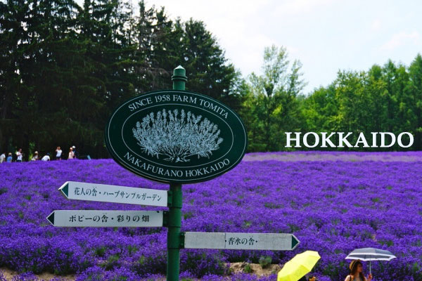 Hokkaido – Vùng đất thần kỳ của Nhật Bản