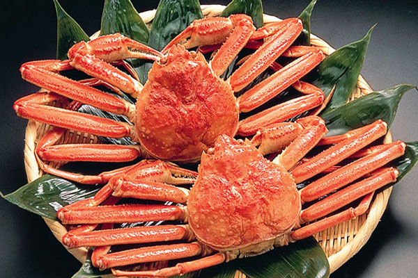 Hokkaido – Vùng đất thần kỳ của Nhật Bản