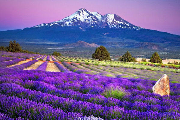 Hokkaido – Vùng đất thần kỳ của Nhật Bản