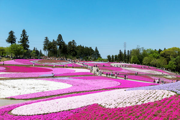 Hokkaido – Vùng đất thần kỳ của Nhật Bản
