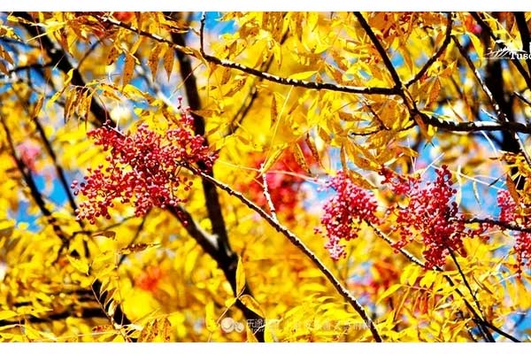 Chốn tiên cảnh ngay gần Cửu Trại Câu - Trung Quốc ít người biết