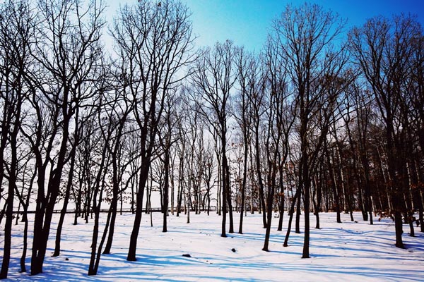 Những trải nghiệm tuyệt vời ở xứ sở băng giá Hokkaido