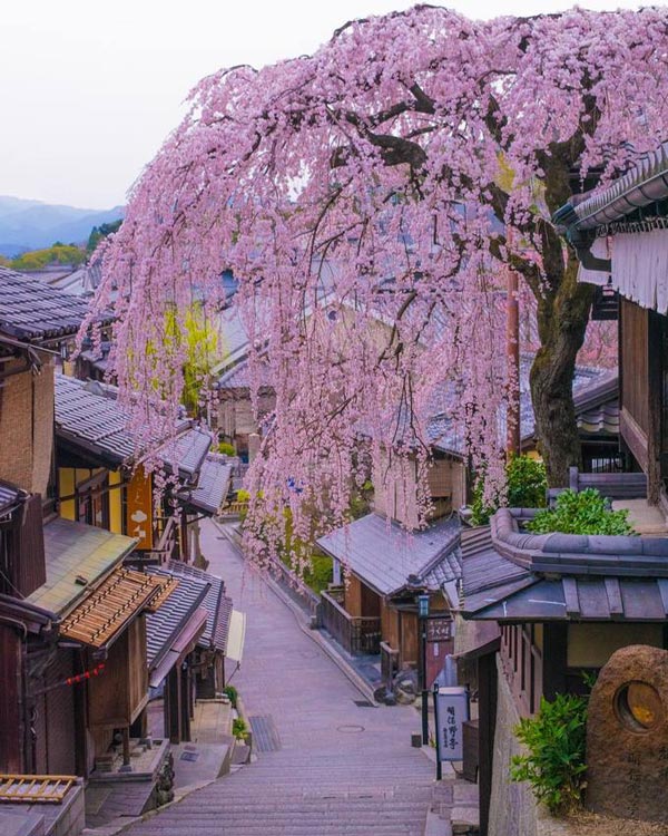 Góc phố đẹp như thơ ở Kyoto