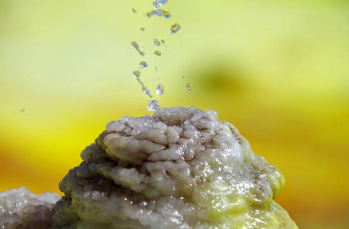 Cuộc sống ở miền đất nóng nhất hành tinh