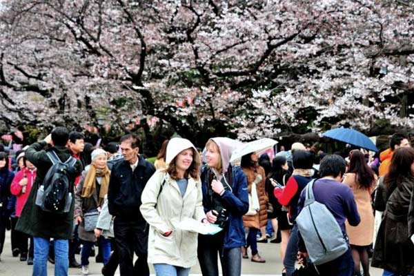 Nhật Bản lên kế hoạch sử dụng visa điện tử từ năm 2020