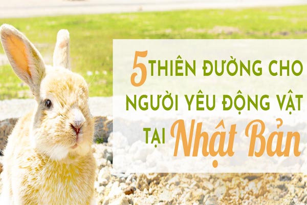 5 THIÊN ĐƯỜNG CHO NGƯỜI YÊU ĐỘNG VẬT TẠI NHẬT BẢN
