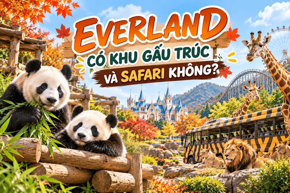 EVERLAND CÓ KHU GẤU TRÚC VÀ SAFARI KHÔNG?