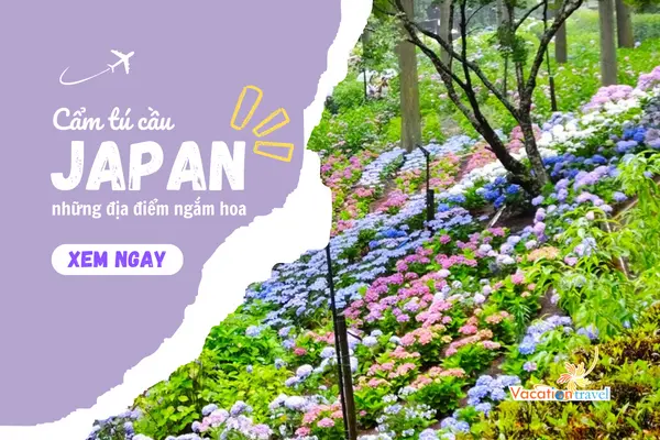 10+ Điểm ngắm hoa Cẩm Tú Cầu tuyệt vời khi du lịch Nhật