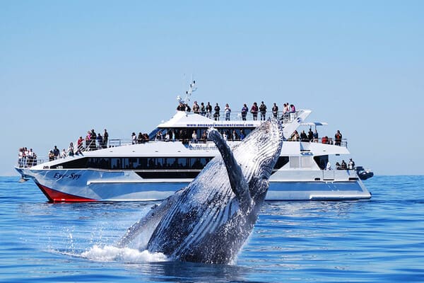 TOUR ÚC 7N6Đ – MELBOURNE – SYDNEY BALLARAT – FREE DAY