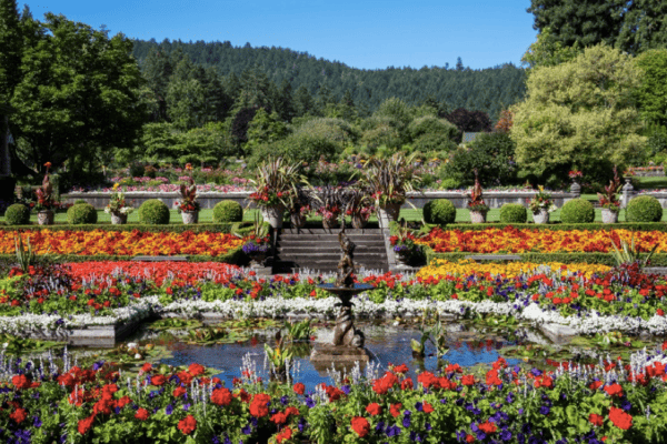 Tour Khám Phá Bờ Tây Canada 7 Ngày 6 Đêm | Vancouver – Victoria – Whistler | Cathay Pacific