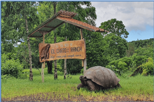 Hành Trình Khám Phá Galapagos & Amazon – Tour Ecuador Peru 14