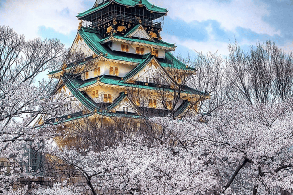 Tour Nhật Bản Mùa Hoa Anh Đào 6N5Đ | Kobe – Osaka – Tokyo