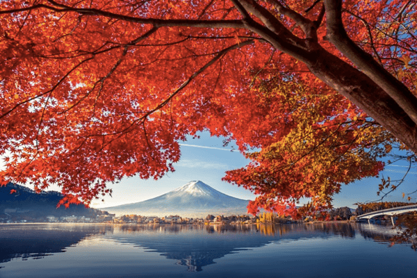 Tour Nhật Bản Mùa Thu Lá Đỏ 5N5Đ: Nagoya – Shirakawago – Takayama – Núi Phú Sĩ – Tokyo