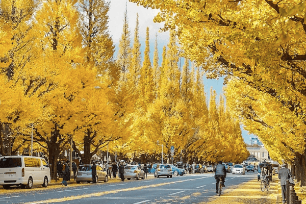Tour Nhật Bản Mùa Thu Lá Đỏ 5N5Đ: Nagoya – Shirakawago – Takayama – Núi Phú Sĩ – Tokyo