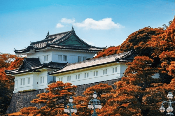Tour Nhật Bản Mùa Thu Lá Đỏ 5N5Đ: Nagoya – Shirakawago – Takayama – Núi Phú Sĩ – Tokyo