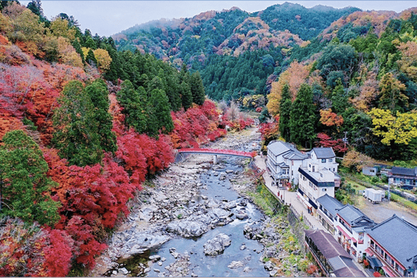 Tour Nhật Bản Mùa Thu Lá Đỏ 6N6Đ – Kobe, Osaka, Kyoto, Fuji, Tokyo