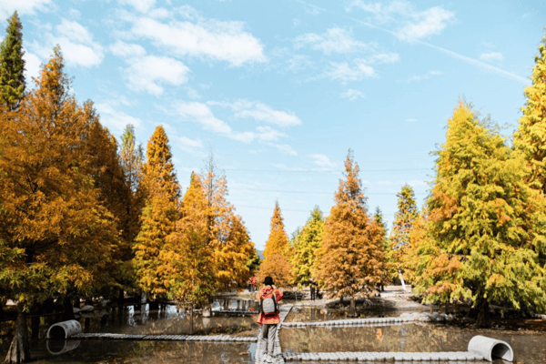Tour Đài Loan 5N4Đ – Đài Trung, Cao Hùng, Đài Bắc | Hành Trình No Shop cùng China Airlines