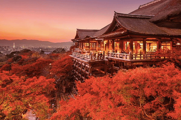 Tour Nhật Bản Mùa Thu 5N5Đ: Kobe – Osaka – Kyoto – Núi Phú Sĩ – Tokyo